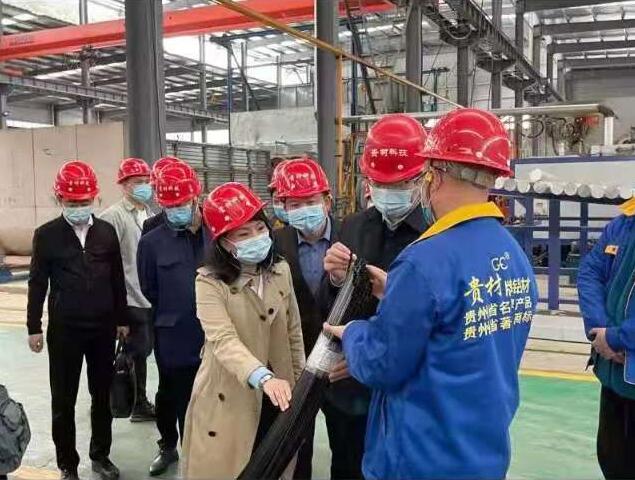 貴陽(yáng)市常委、市工商聯(lián)、廣東總商會(huì)一行到我廠調(diào)研